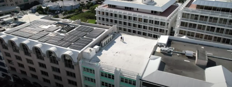 Case Study: Mintflower Place