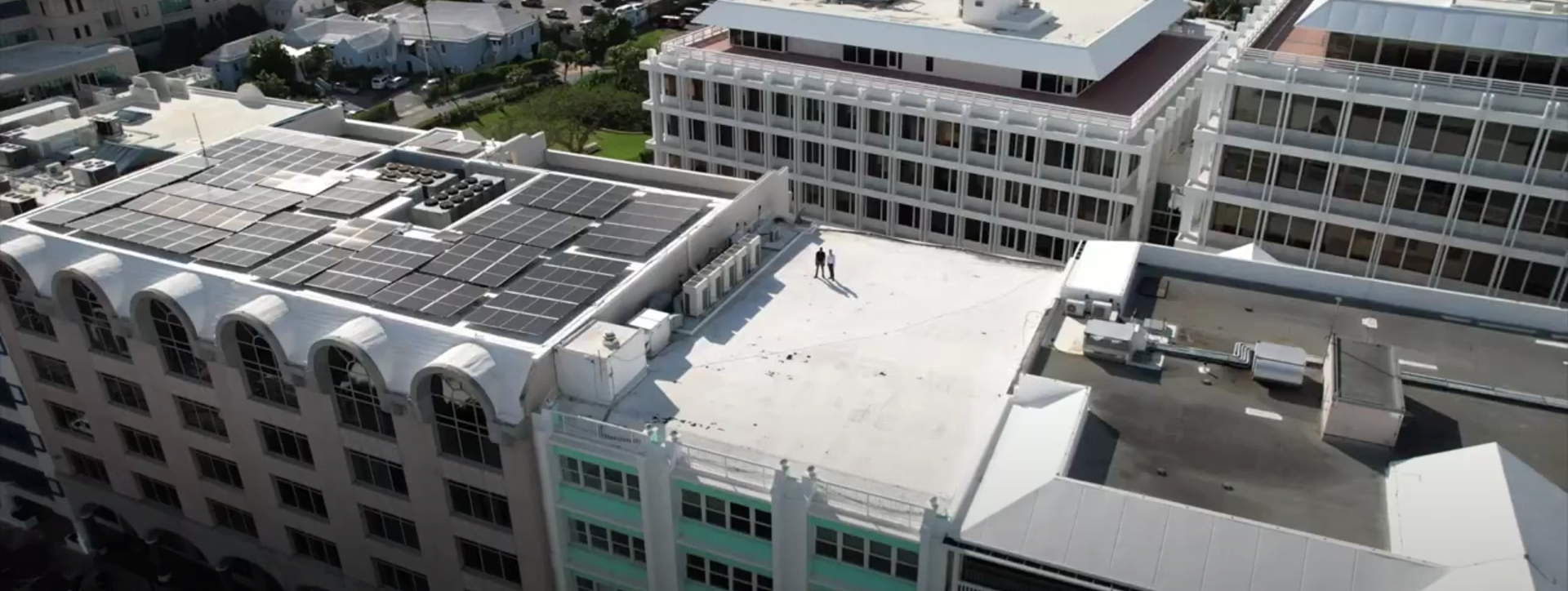 Case Study: Mintflower Place